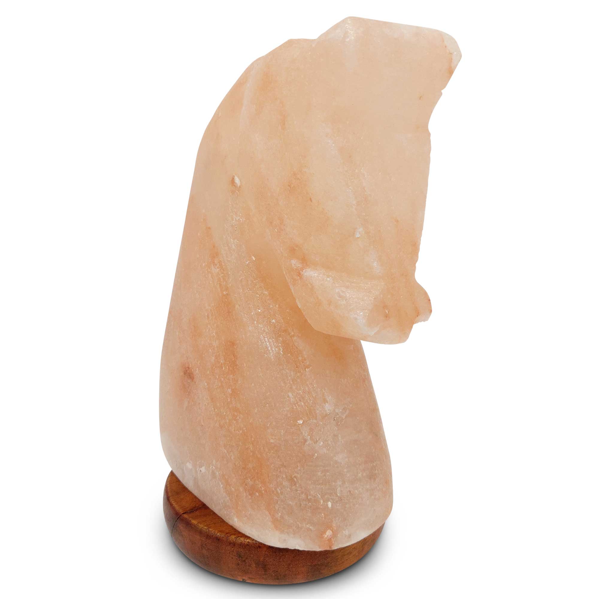 Himalayan Salt Lamp Carved Shape Natural Pink Crystal Rock Light Decor-Himalayan products-The Himalayan Salt Collective